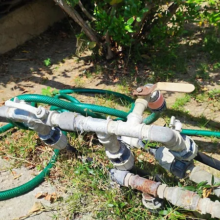 Apartament Clotilde *